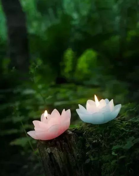 护理冠心病患者讨论分析_护理冠心病患者的收获与感悟_冠心病患者的护理