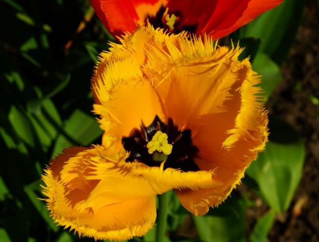 逆魂界7.25隐藏_逆魂界攻略_逆魔魂隐藏密码