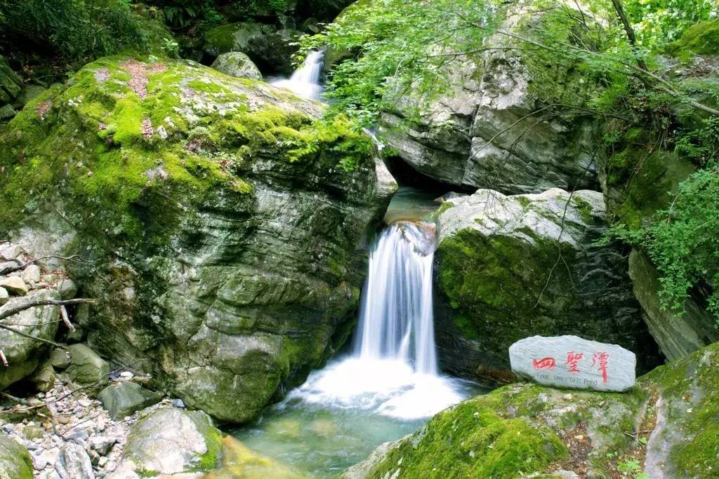 呼吸背疼是什么原因引起的_深呼吸背疼是怎么回事_呼吸痛背痛