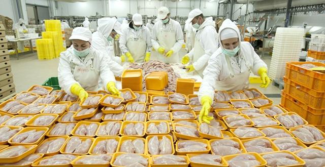 windowsce软件_windows ce 6.0 扫描_扫描windows