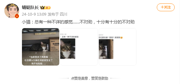 小猫：总有种不祥的感觉，我先躲！！