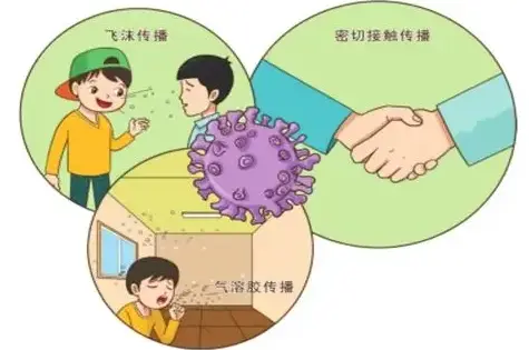 呼吸道合胞病毒病程_呼吸合胞病毒表现_呼吸道合胞病毒类型