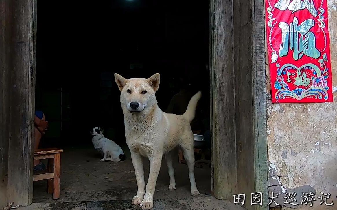三间房社区医院_三间房社区医院可以做b超吗_社区医院三间房门诊电话