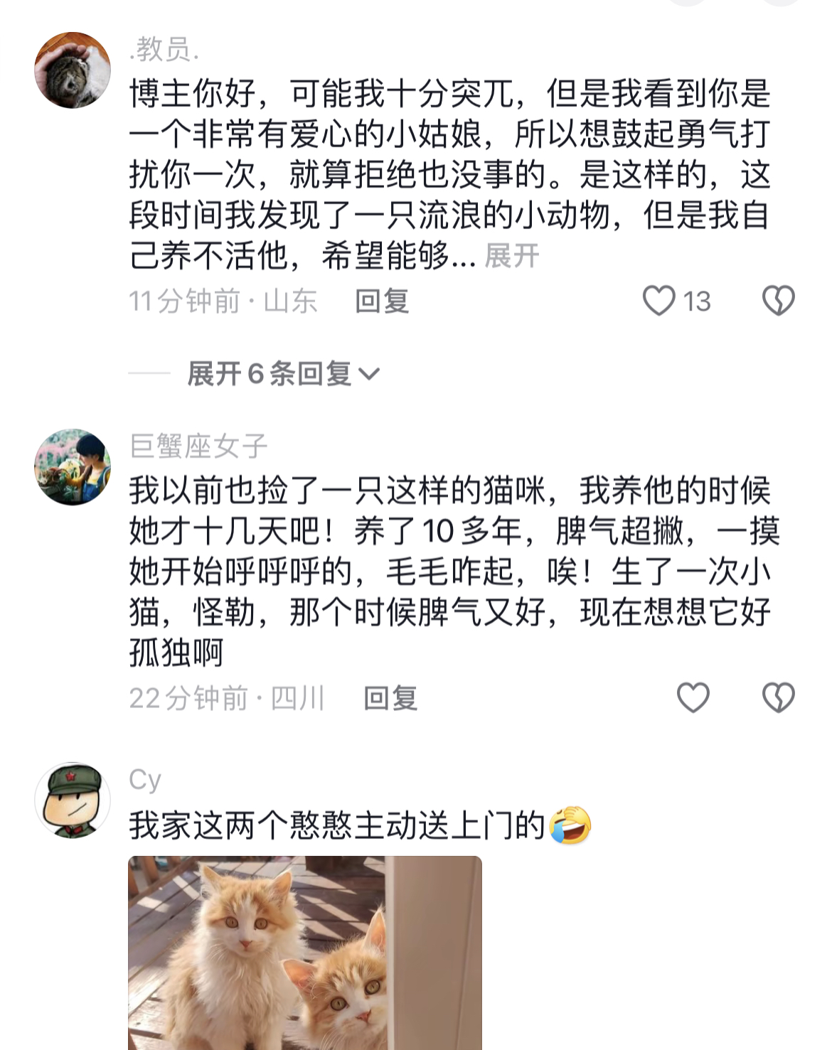 小猫是我的解药，双向救赎！