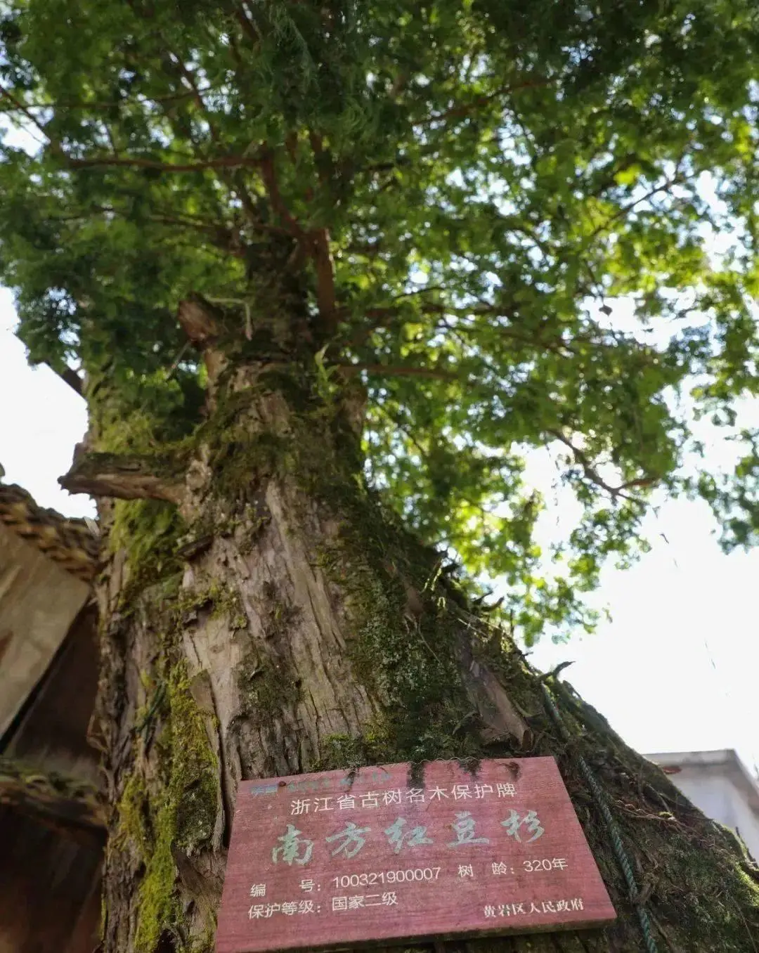 道路监控杆设备基础规范_道路监控立杆施工方案_道路监控杆草图
