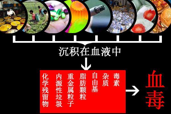 血毒丸的成分_血毒丸的功效与作用_血毒丸多少钱