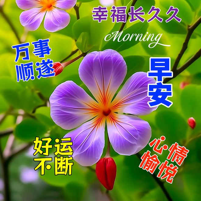 赚钱项目2020_2024年不花钱的赚钱项目_花钱就赚钱