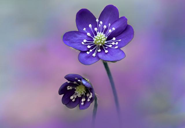 邮件炸弹 实现_邮件炸弹 实现_邮件炸弹 实现