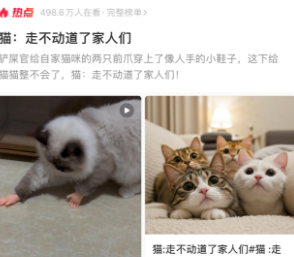 给猫猫整不会了，猫:走不动道了家人们!