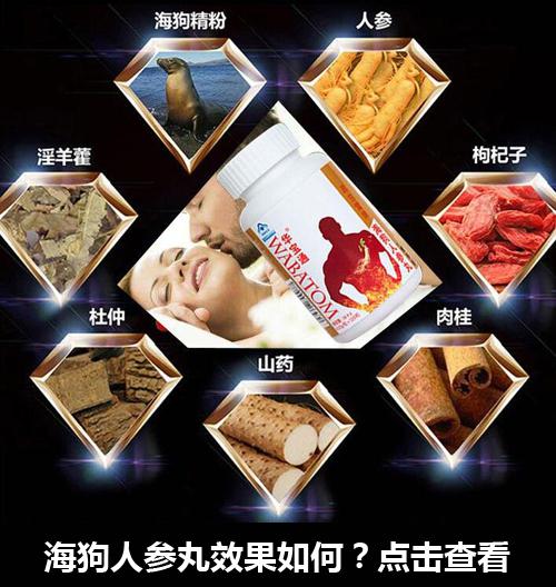 海狗人参丸成分