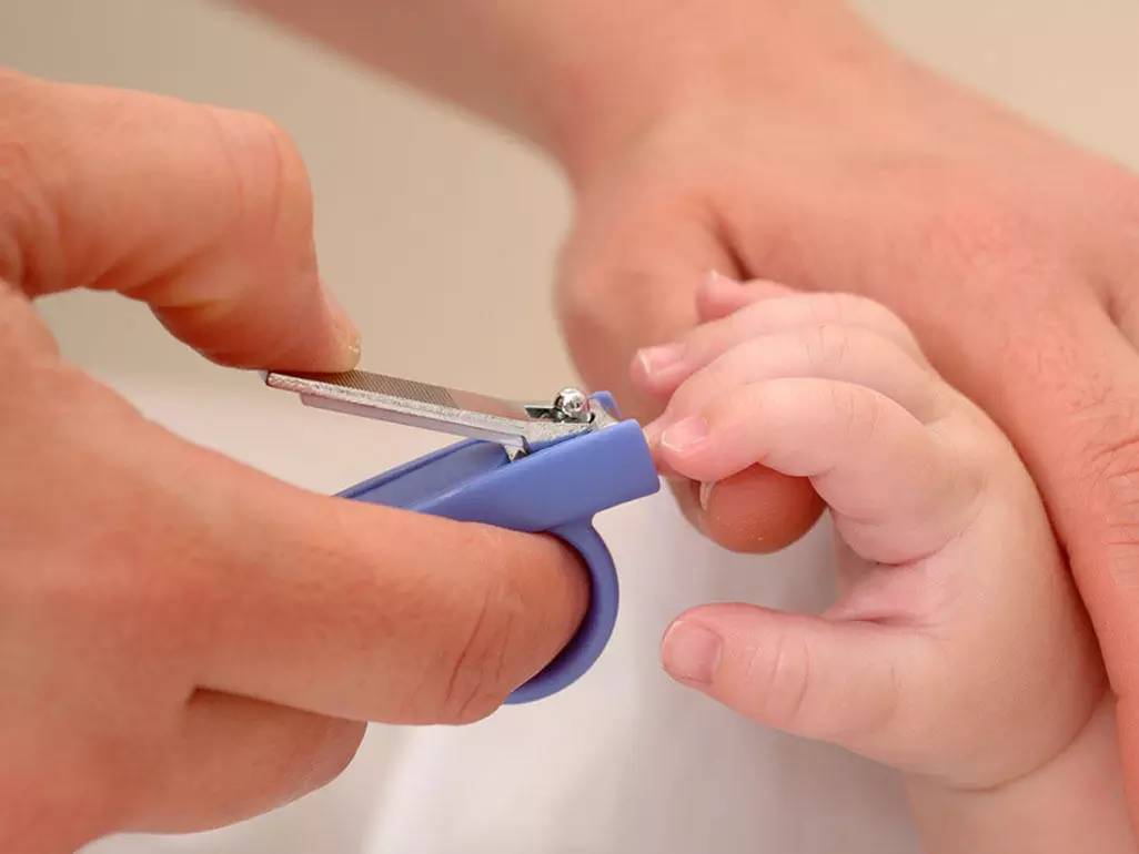 电脑禁用程序_禁用能进程电脑的软件_电脑哪些进程不能禁用