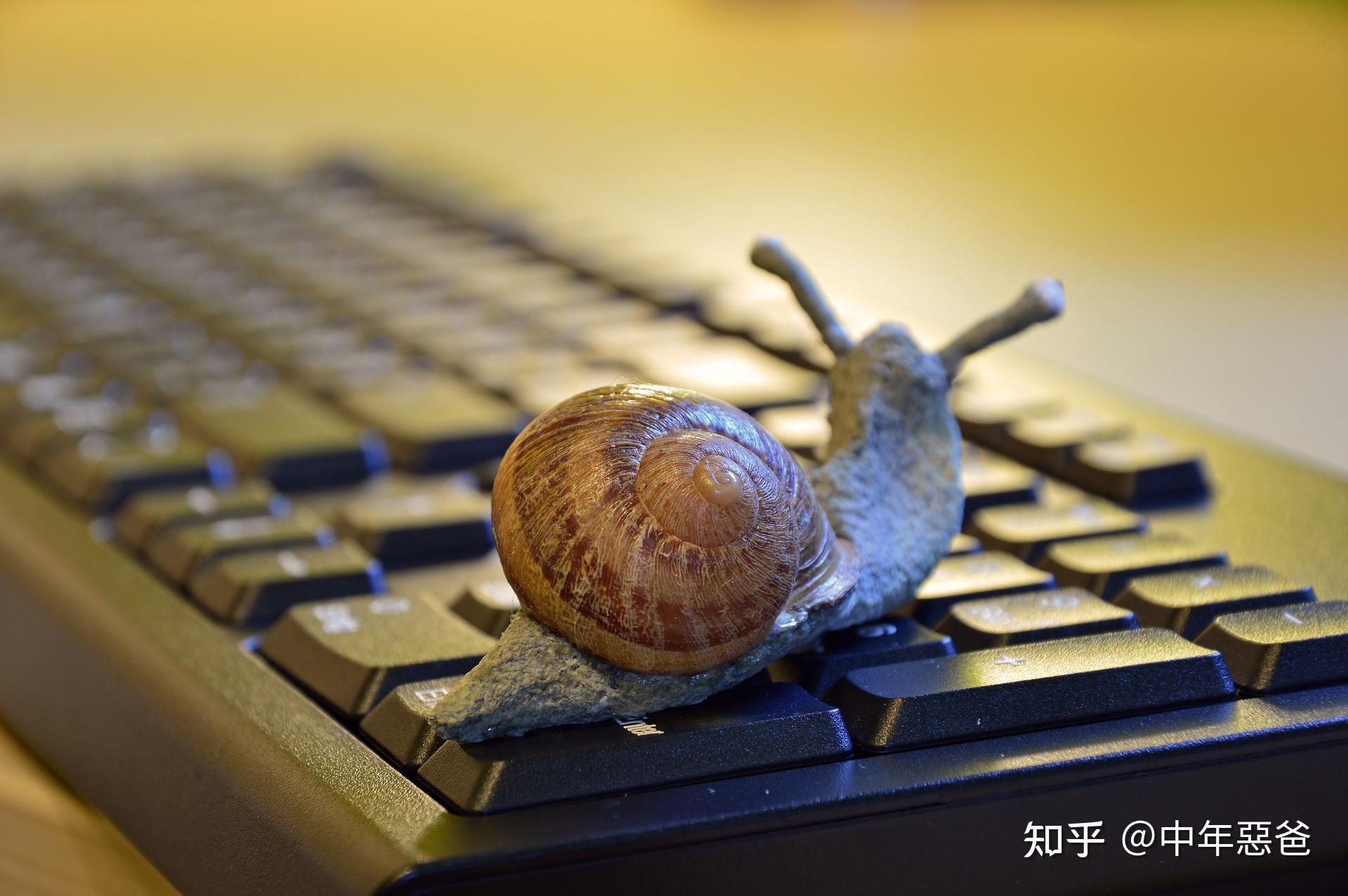 手机数据恢复 免费版_有什么免费恢复手机数据的软件_免费手机数据恢复软件有哪些
