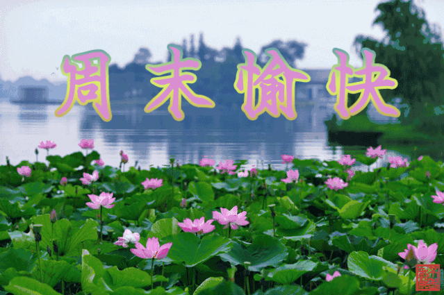 果园购物_天天果园团购_鲜果团购