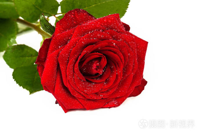 婚庆lr预设_婚礼lr预设_婚礼预设