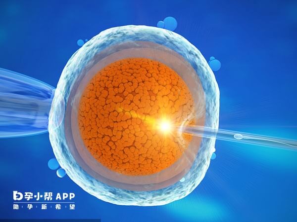 人功授精好吗_春季做人工授精成功率_人功受精几率多高