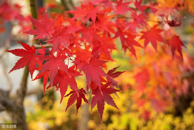 win10 0x80070570 u盘_win10 0x80070570 u盘_win10 0x80070570 u盘