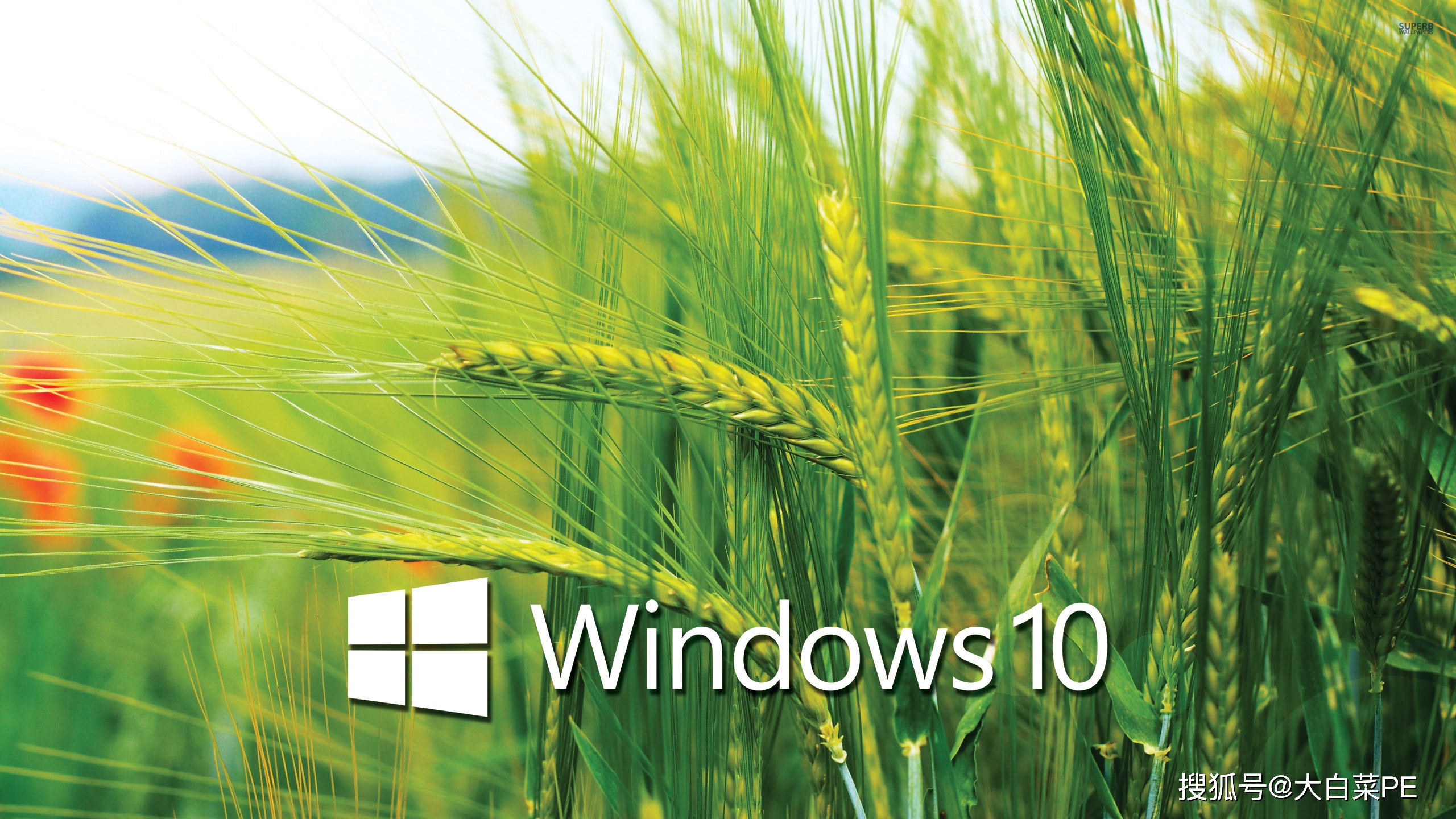 旗舰版windows7密钥_旗舰版windows7的英文_windows10旗舰版