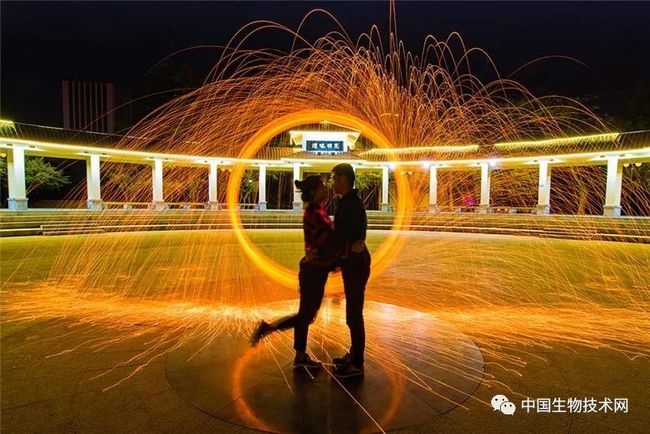 google hosts 360_google hosts 360_google hosts 360