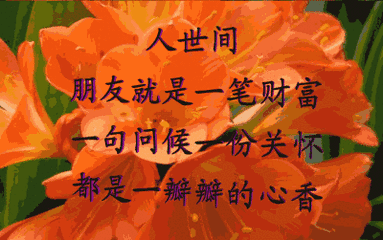 精华油怎么用才正确方法使用_easyrecovery使用方法_紧致液怎么用才正确方法使用