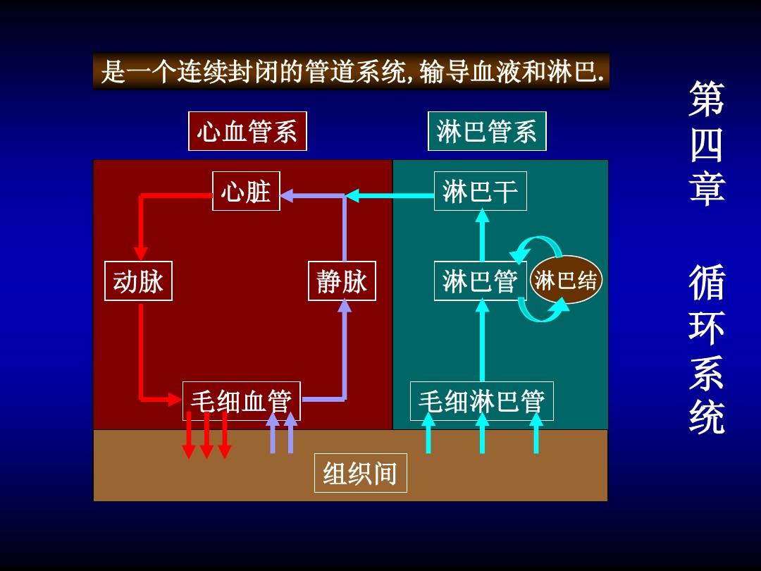 刷元心系统教程_刷元心系统教程_刷元心系统教程