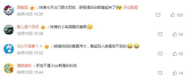 大熊猫舔孩子屁屁越舔越上头，有味又有爱！