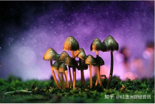 门诊药房管理系统_门诊入库新药管理系统设计_门诊管理系统新药入库