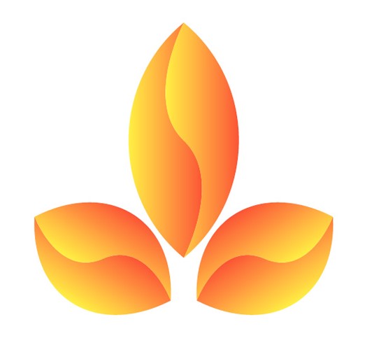 复旦大学宿舍_复旦大学最新宿舍内景_复旦大学寝室