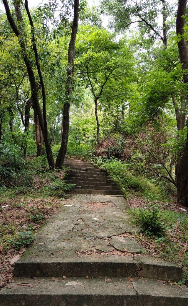 康复佛山招聘治疗师最新信息_佛山康复理疗师招聘_佛山招聘康复治疗师