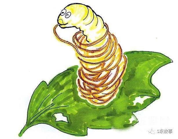 肠炎克罗恩_普通肠炎和克罗恩的区别_克罗恩肠炎图片