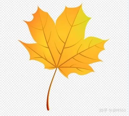 数组空格算一个字符吗_python 空数组_数组空间