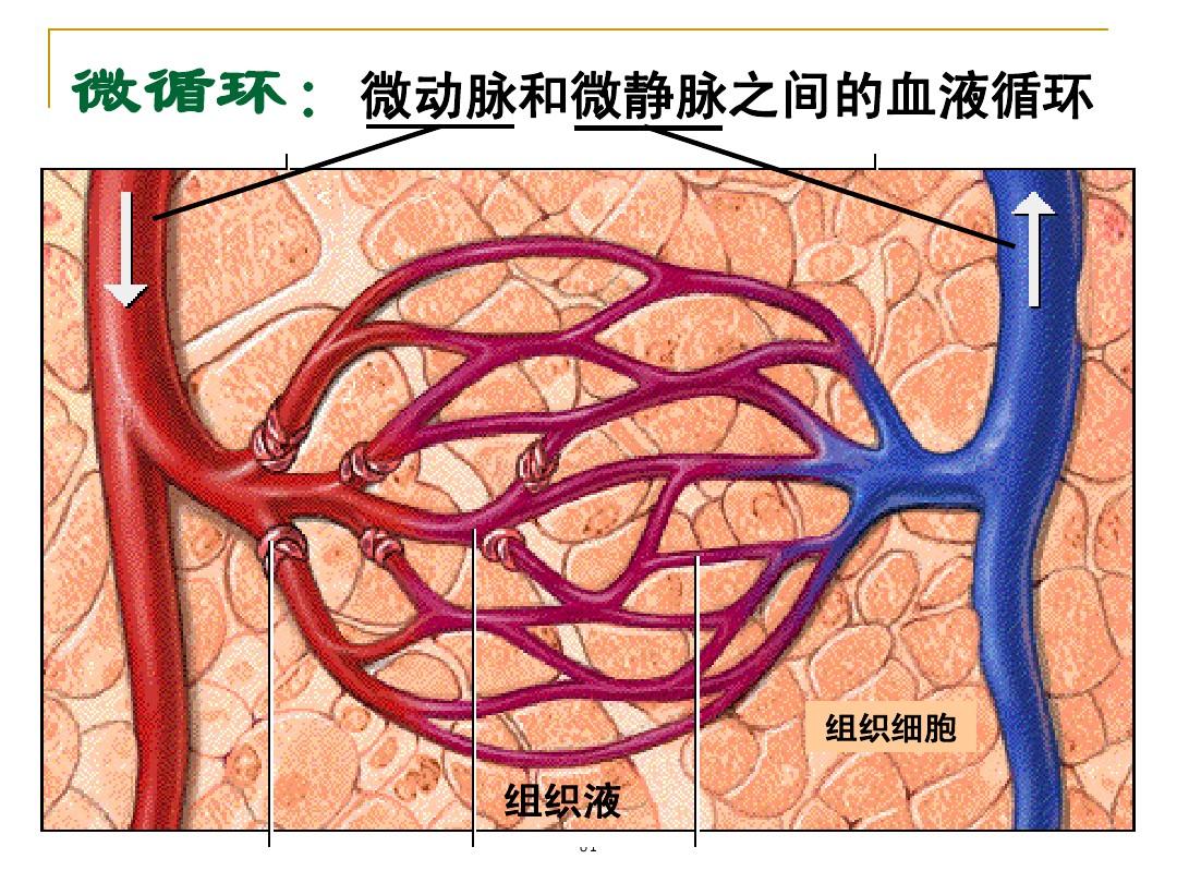 刷元心系统教程_刷元心系统教程_刷元心系统教程