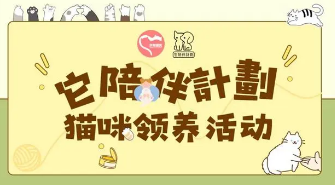 海报新闻携手“它陪伴计划”发起猫咪领养活动