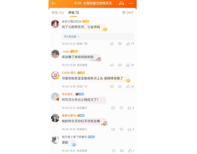 深情？小狗在吸它的阿贝贝