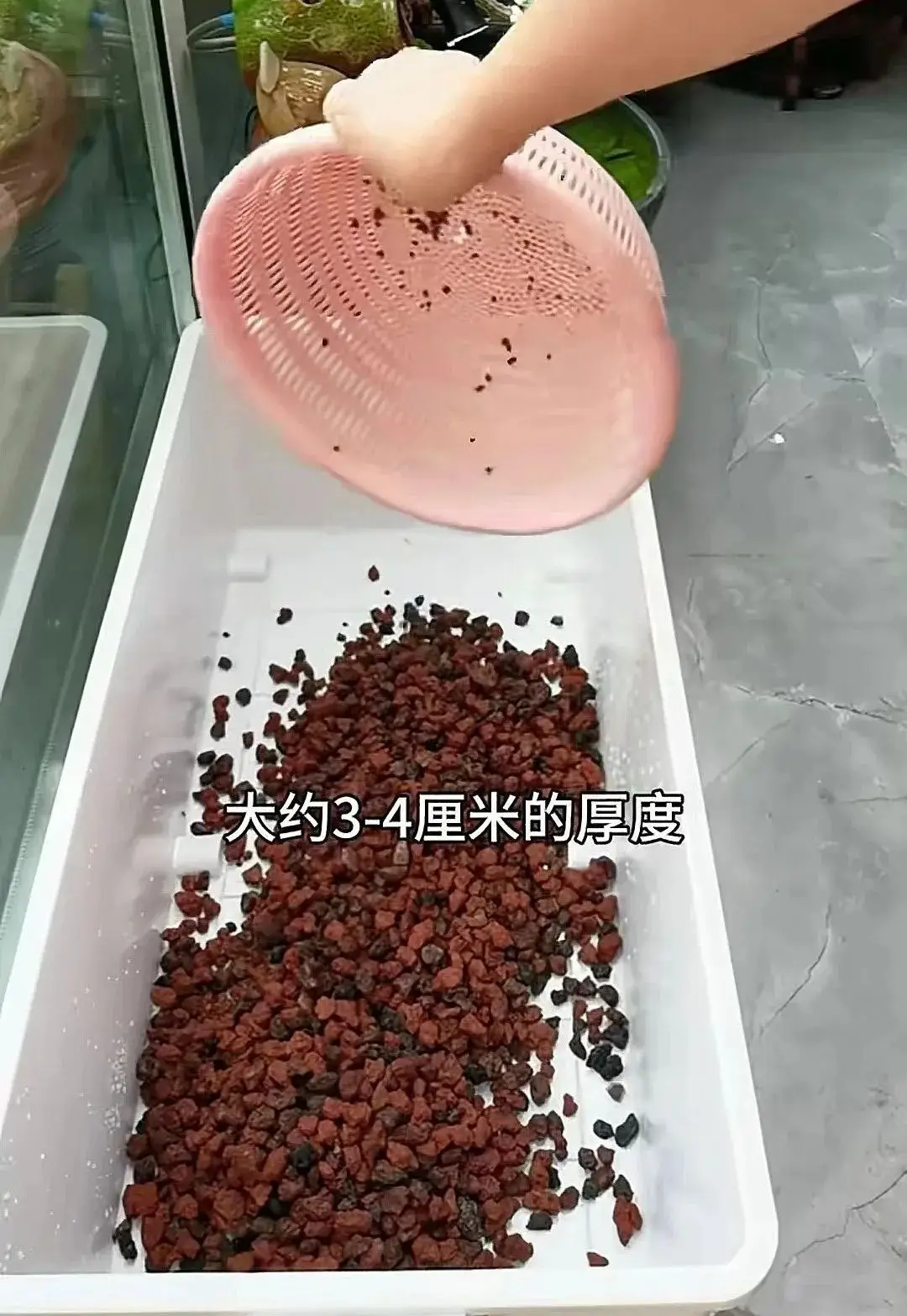 安易出行司机端app下载_安易官方下载_安易驾下载