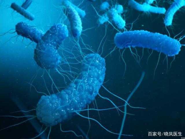 我治好胃病的亲身经历天涯_天涯医院胃癌晚期论坛_天涯胃病吧