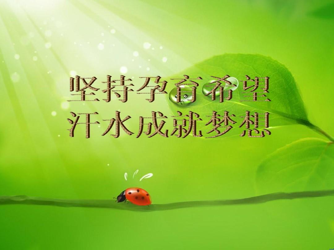 课后网测试课程_课后测试分层_c16008课后测试100分