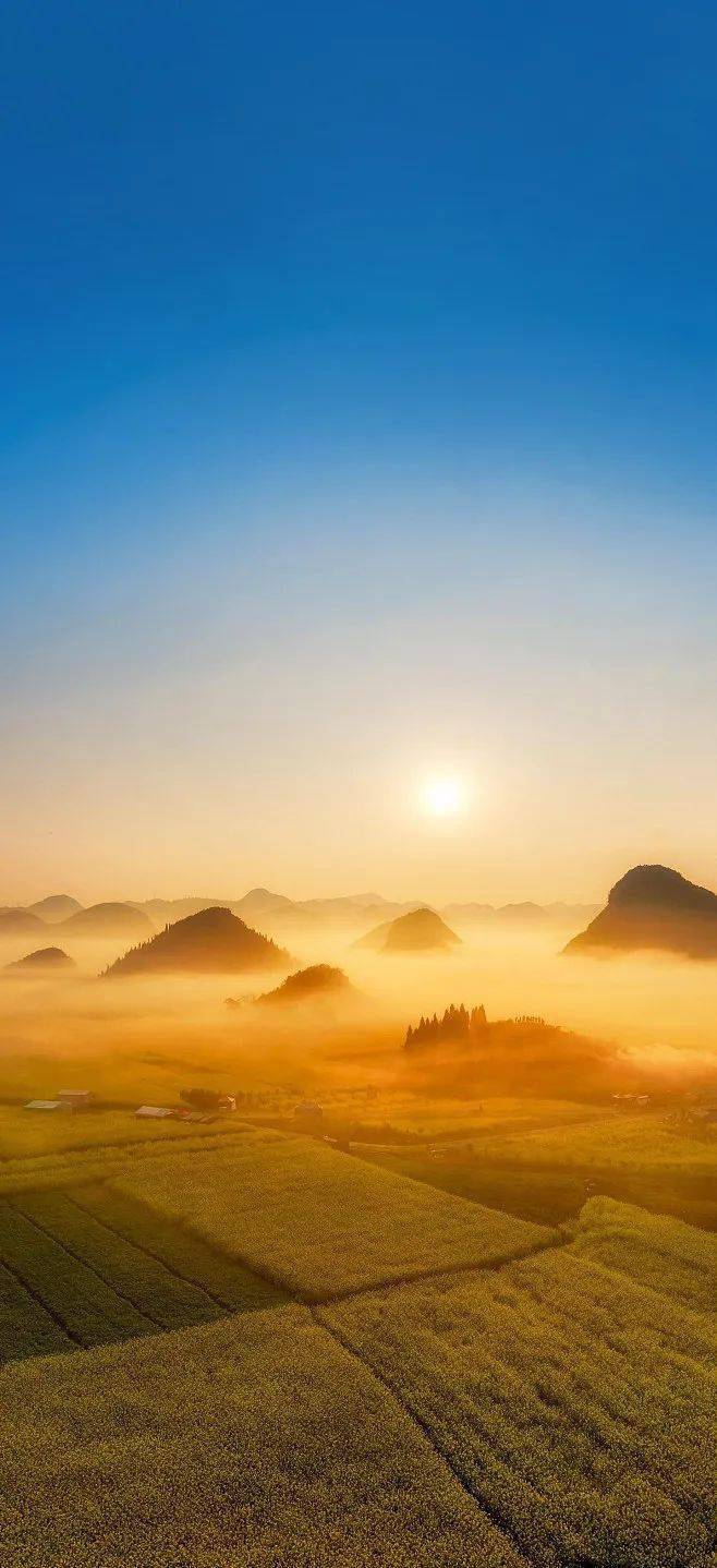 sd卡误删照片恢复_sd卡照片删除怎么恢复_sd卡恢复删除的照片
