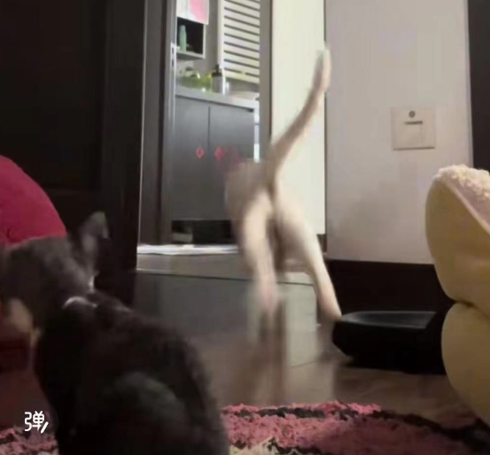 猫：好险差一点就饿死了