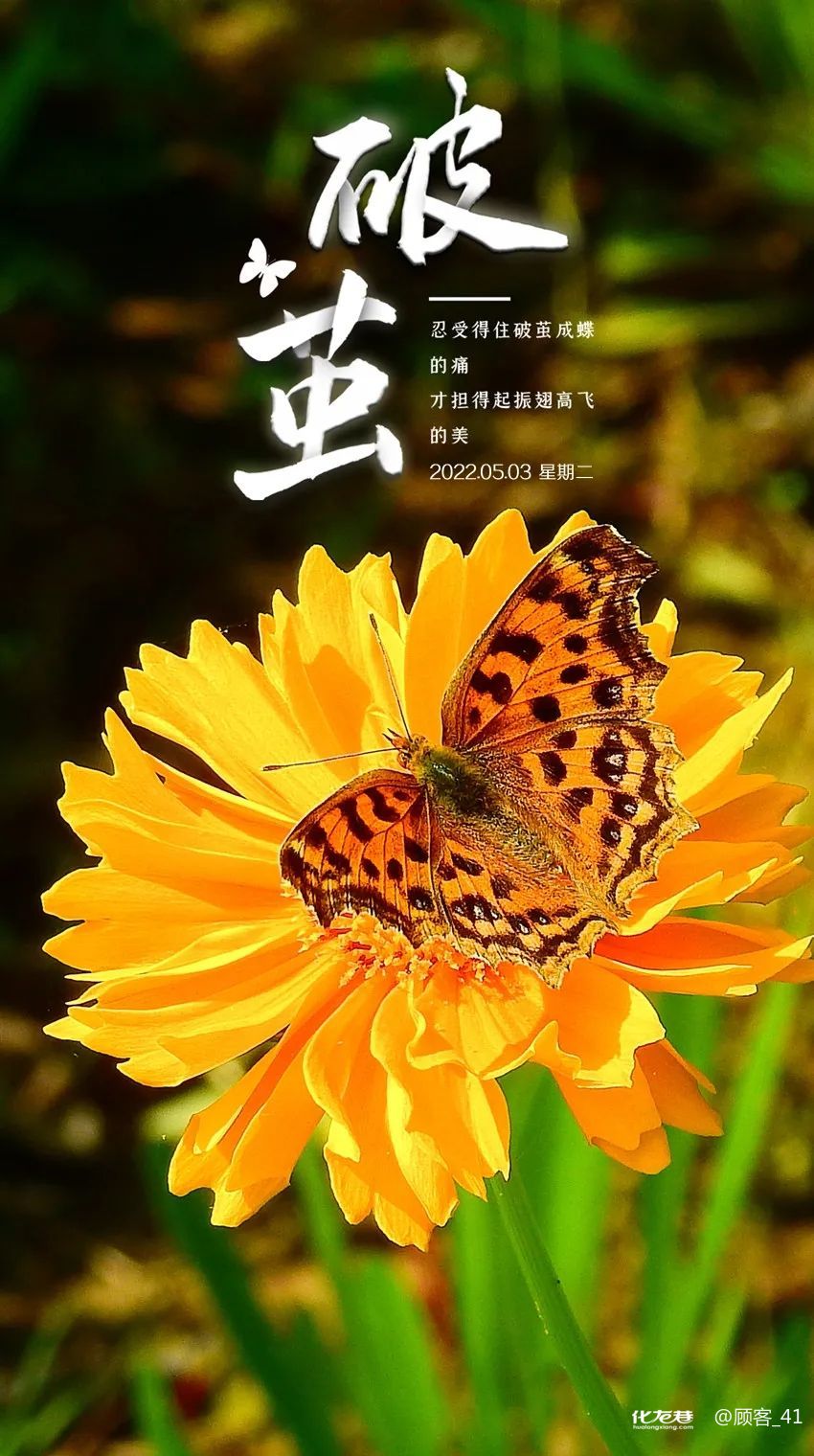 胃病病友论坛_化龙巷论坛胃病_胃病交流群论坛