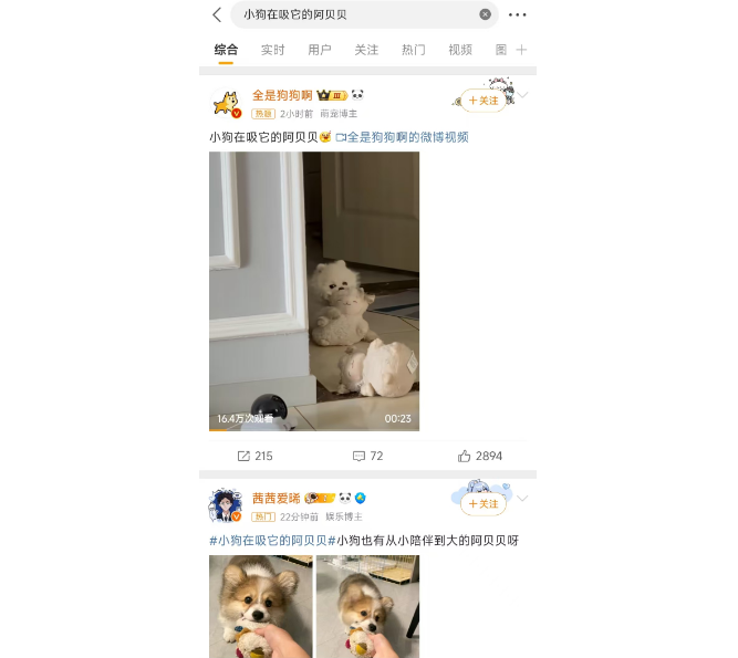 深情？小狗在吸它的阿贝贝