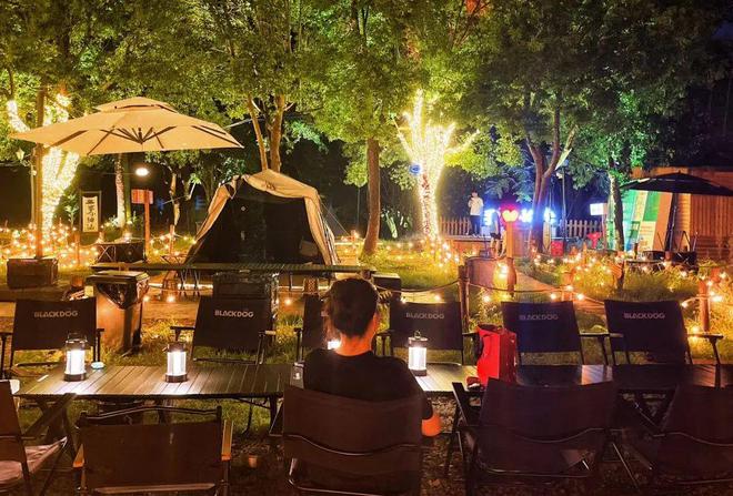 loic使用教程_教程使用教程_教程使用情况分析