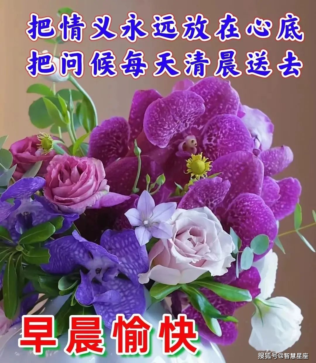 淮北二甲医院有多少家_淮北二甲医院有几家_淮北有几个二甲医院