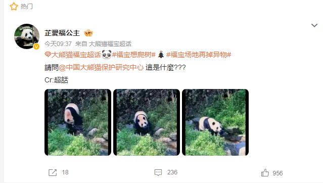 福宝场地再曝异物掉落事件，网友呼吁加强安全防护措施
