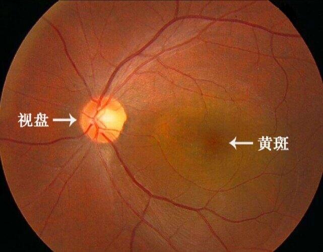 朝阳眼科医院电话号码_朝阳医院眼科电话_朝阳何氏眼科医院电话