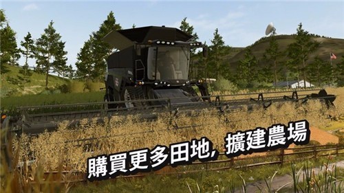  法明顿现代农场