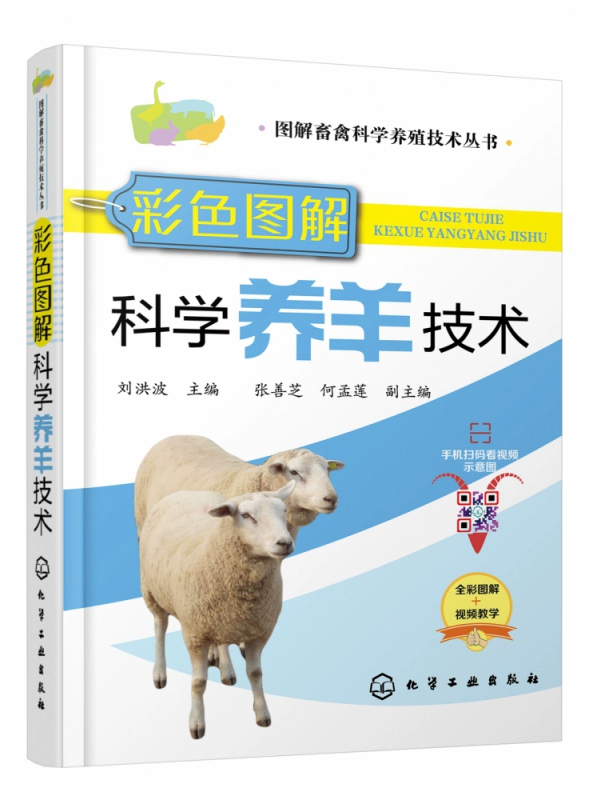 养羊技术大全免费阅读_养羊技术书籍在线阅读_大全免费阅读养羊技术书