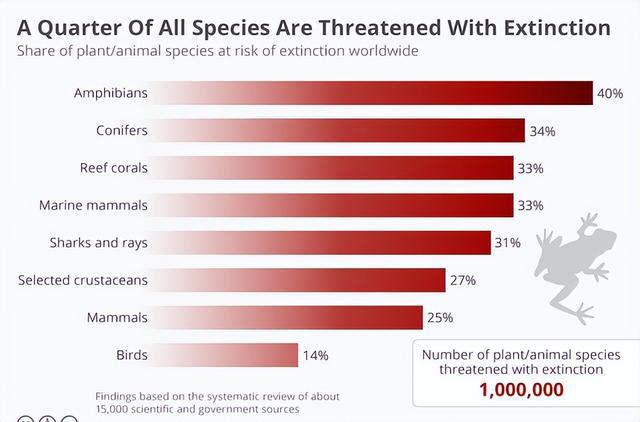 ecosystem for maya 下载_下载微信_soupformaya