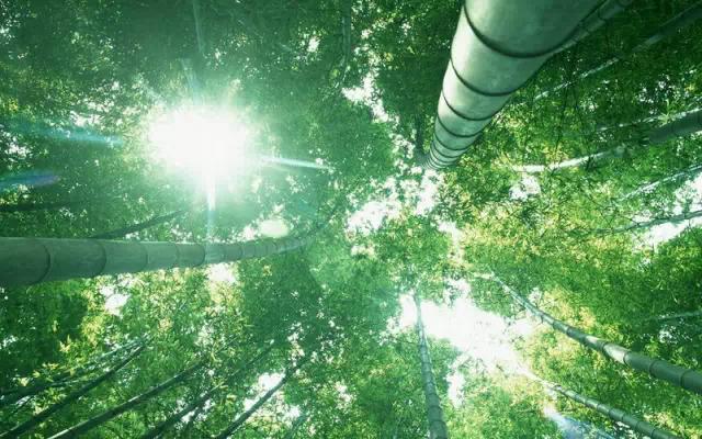 商城帝国的幻想_帝国cms72商城模板_帝国cms电商模板