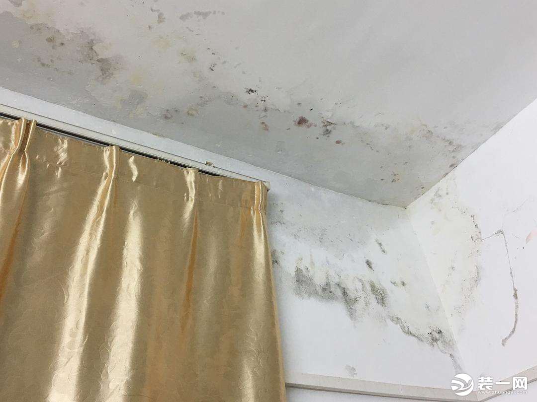房间太过潮湿怎么处理