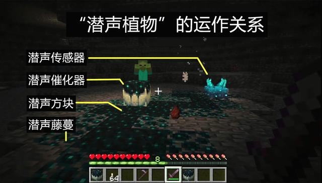迪哥闯世界